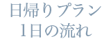 日帰りプラン　1日の流れ