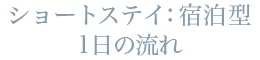 ショートステイ：宿泊型　1日の流れ